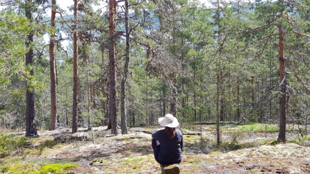 Henkilö istuu kalliolla puupölkyllä selin kameraan.