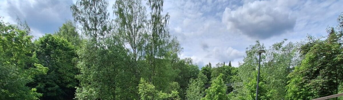 Kesäiset yhteislaulut – hyvinvointia laulajalle ja kuulijalle